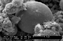 样例:原图 样例:原图