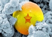 样例:处理后 样例:处理后